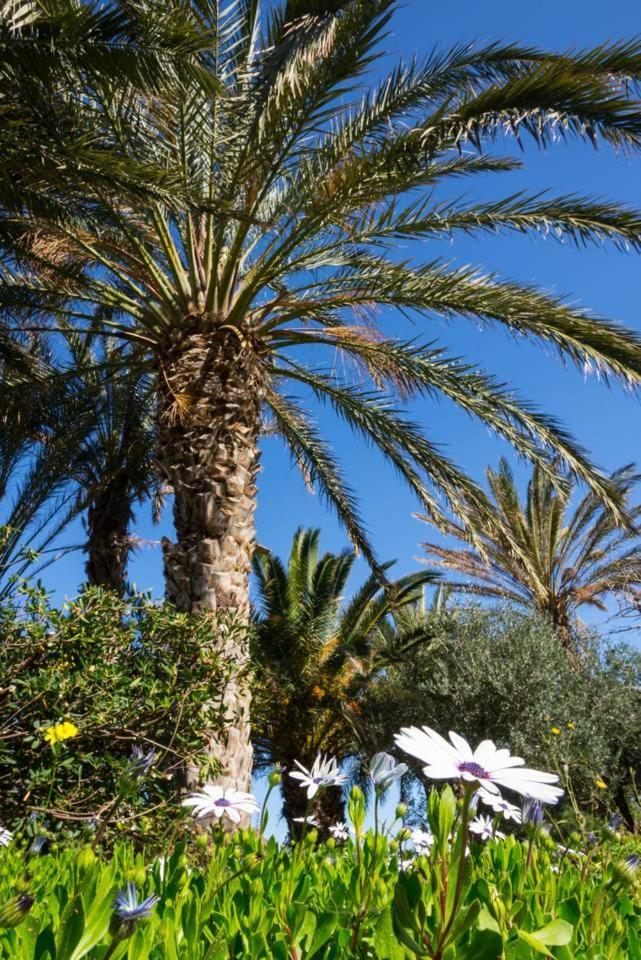 Authentic Cretan Stone Windmill Villa Sitia  Exterior foto