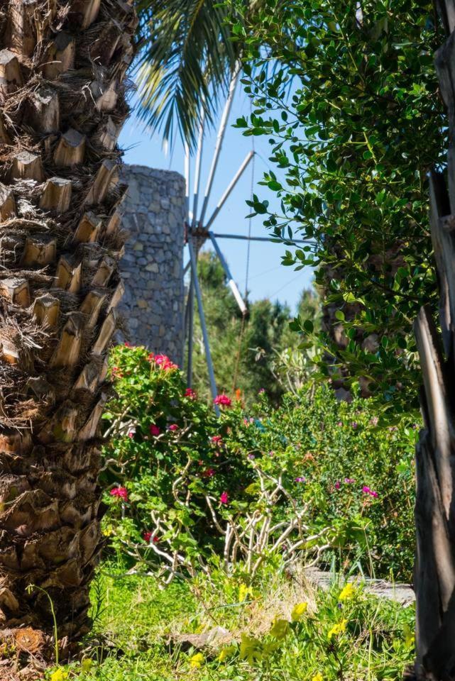 Authentic Cretan Stone Windmill Villa Sitia  Exterior foto